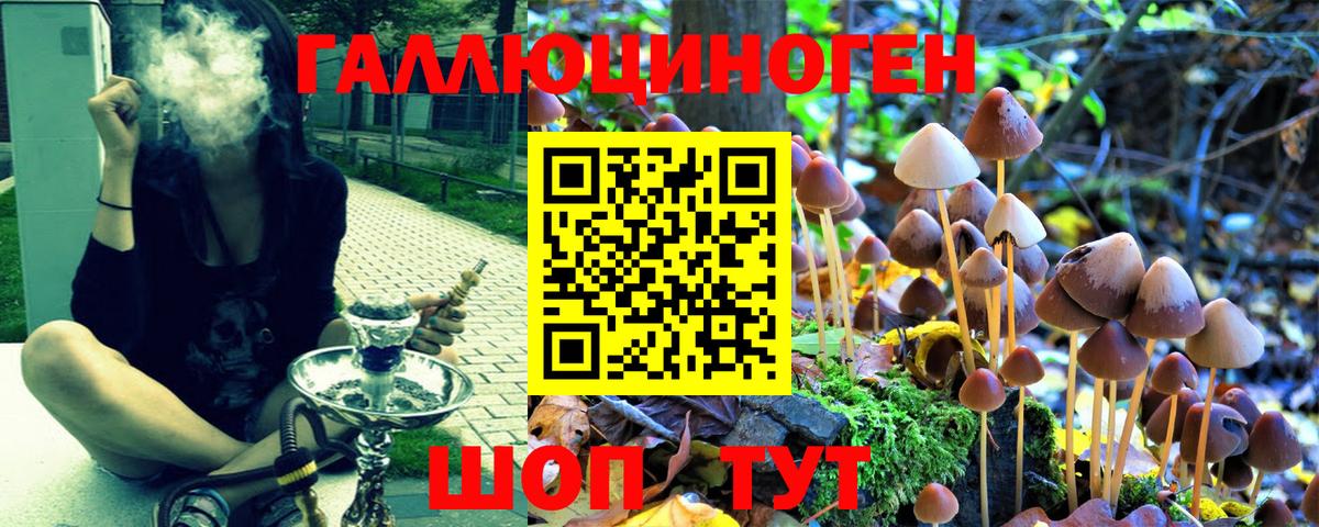 Галлюциногенные грибы MAGIC MUSHROOMS  Псилоцибиновые грибы Psilocybe  Губкинский  Вход с VPN 