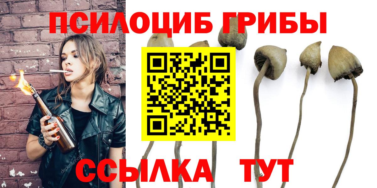 Псилоцибиновые грибы мухоморы Губкинский